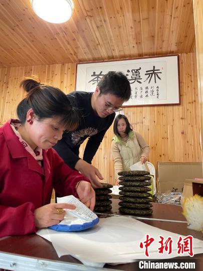 資料圖：杜贏(左二)在整理白茶餅?！×执阂?攝